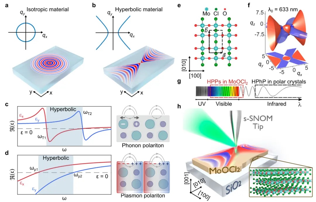 探索MoOCl2中的双曲等离子体激元：坏金属中的好等离子体