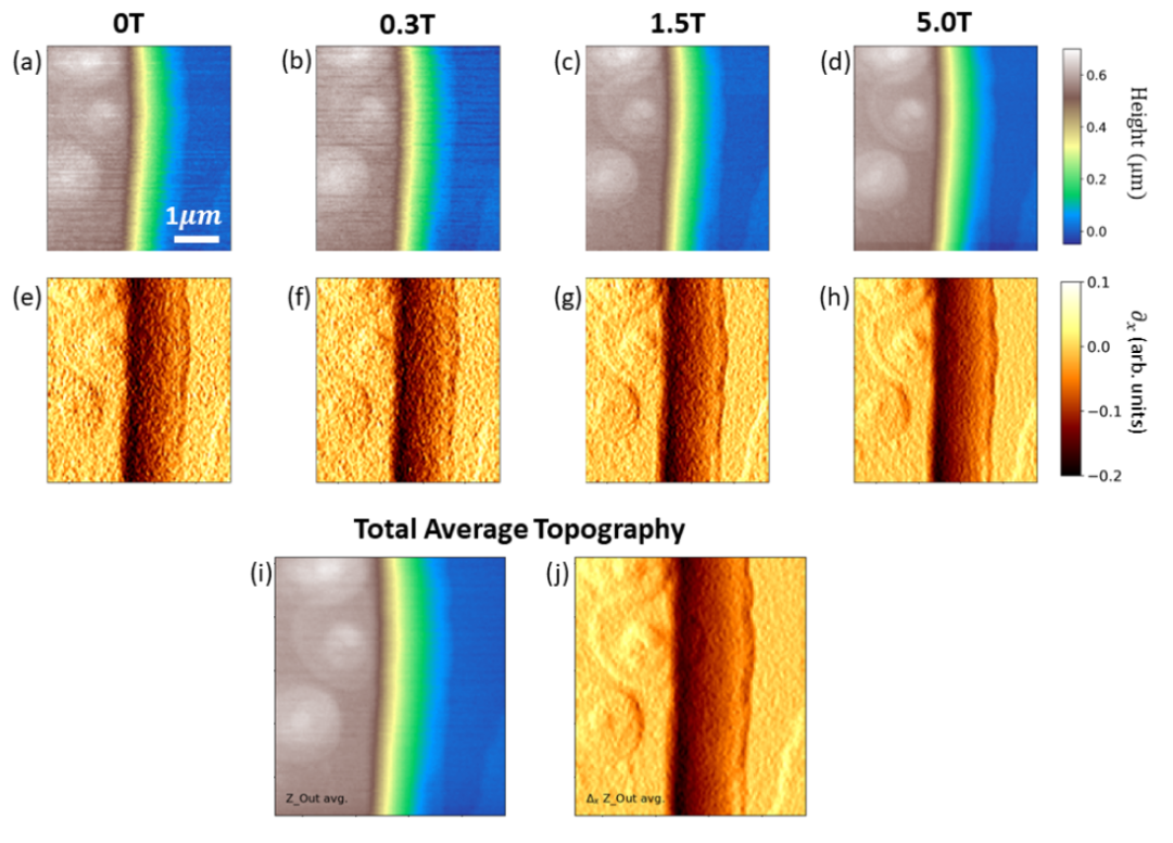 Figure 4. AFM topography and gradient analysis of ZrTe₅ under different magnetic fields [1].