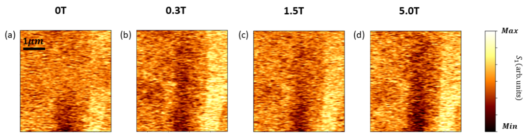 Figure 6. Application example of cryogenic high-field THz-sSNOM on ZrTe₅ [1].