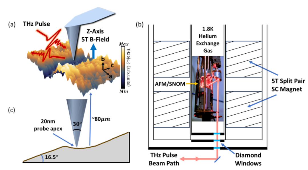 Figure 1. Schematic of the low-temperature high-magnetic-field THz-sSNOM system[1].